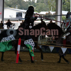 Southern Realm Festival, Boonah, QLD -