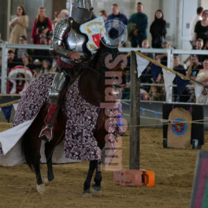 Southern Realm Festival, Boonah, QLD -