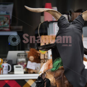 Southern Realm Festival, Boonah, Queensland Australia 22/08/2026 -